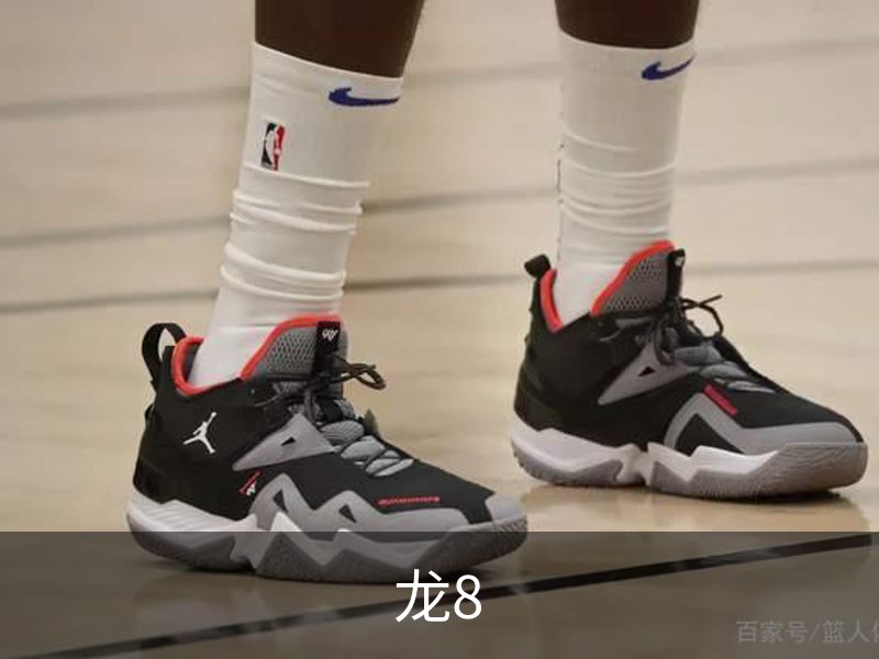 龙8品牌故事
